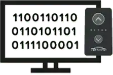 Custom Program